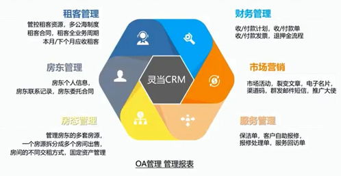 賓館管理系統 基于.NET技術的深入解析與信息系統集成服務